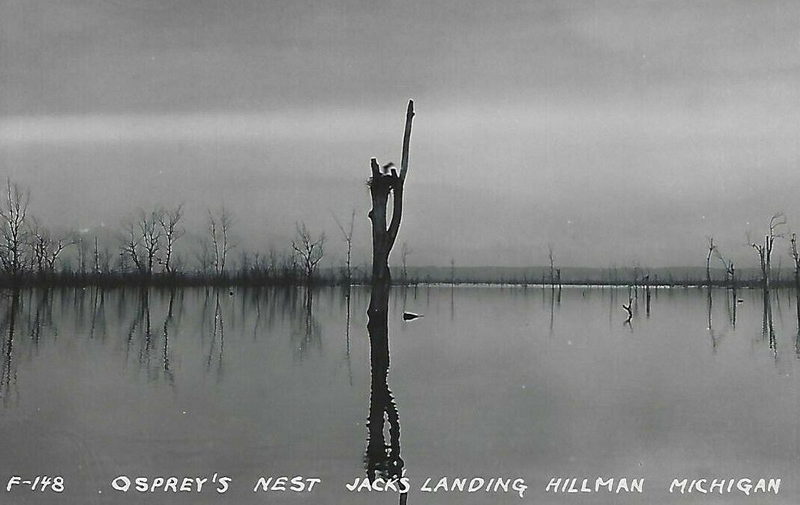 Jacks Landing - Vintage Photo